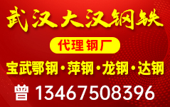 武汉大汉钢铁供应链有限公司 武汉大汉钢铁供应链有限公司