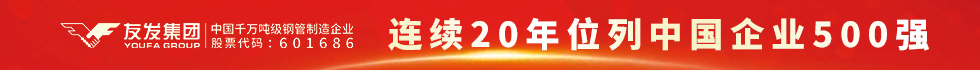 天津友发钢管集团股份有限公司 天津友发钢管集团股份有限公司