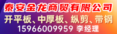 泰安金龙商贸有限公司 泰安金龙商贸有限公司
