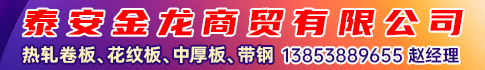 泰安金龙商贸有限公司 泰安金龙商贸有限公司